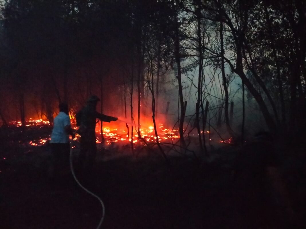 Kerja Sama Gotong Royong Padamkan Kebakaran Lahan di Dusun I Desa Toapaya
