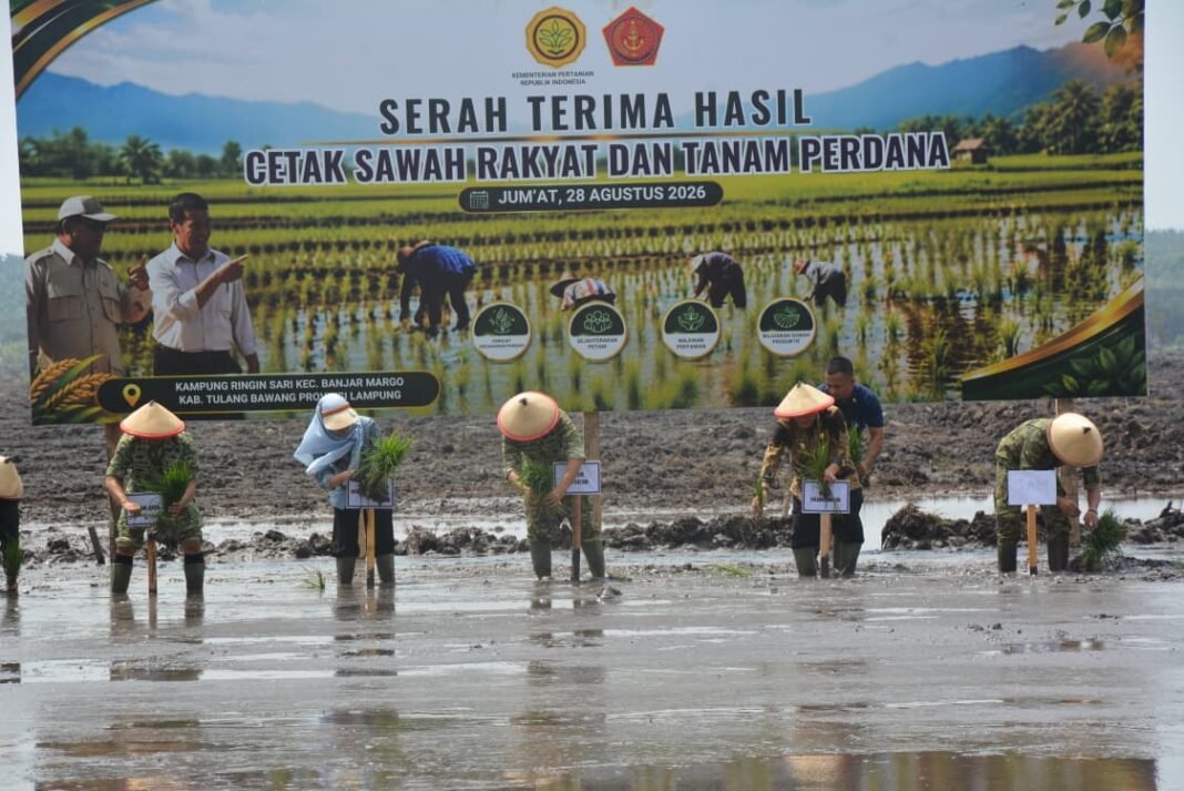 Danrem 043/Gatam Pimpin Aksi Tanam Padi Perdana di Ringin Sari Tulang Bawang