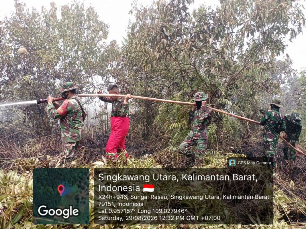 Tanggap Darurat Karhutla di Sungai Rasau, TNI Pastikan Lahan Gambut Aman