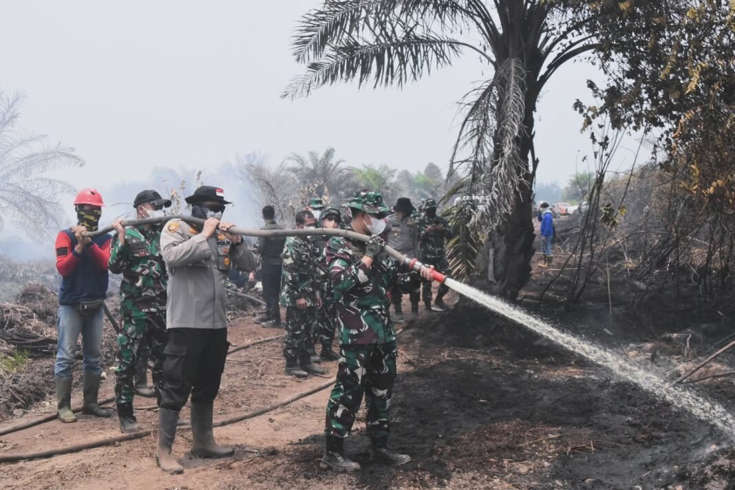 Pantau Langsung Titik Api, Personel Seskoad dan Dandim 0302 Perkuat Penanganan Karhutla