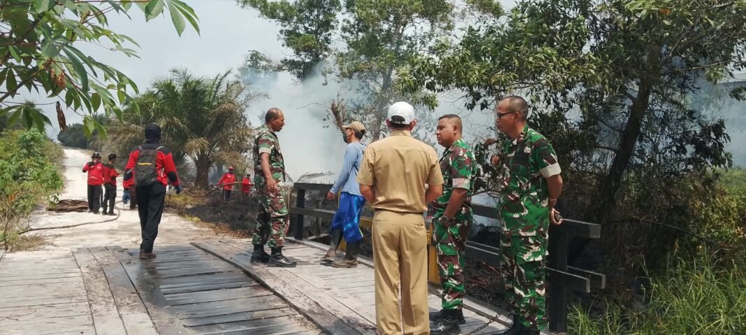 Tinjau Lokasi Kebakaran Lahan, Dandim 1014/Pbn Imbau Warga Tidak Membakar Hutan