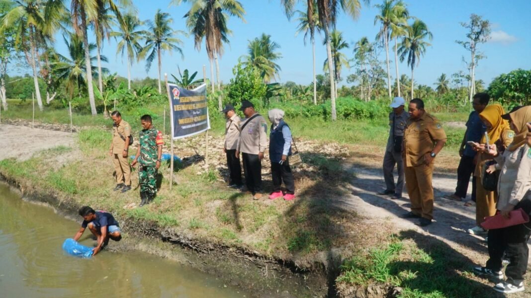 TMMD dan 2.000 Bibit Ikan Patin: Membangun Desa dengan Sinergi Masyarakat