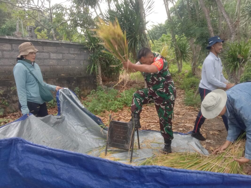 Komitmen Babinsa Takmung dalam Mendukung Pertanian