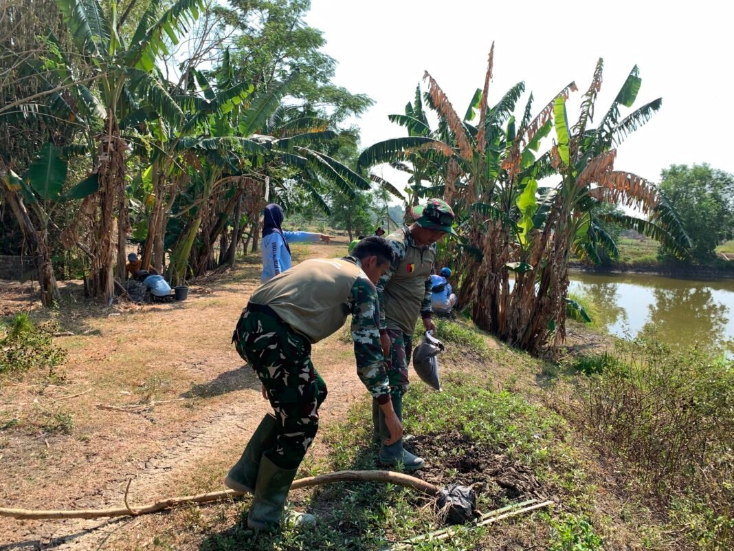 Kesongo Menyemai Harapan Lingkungan, Melalui Program TMMD Ke-129