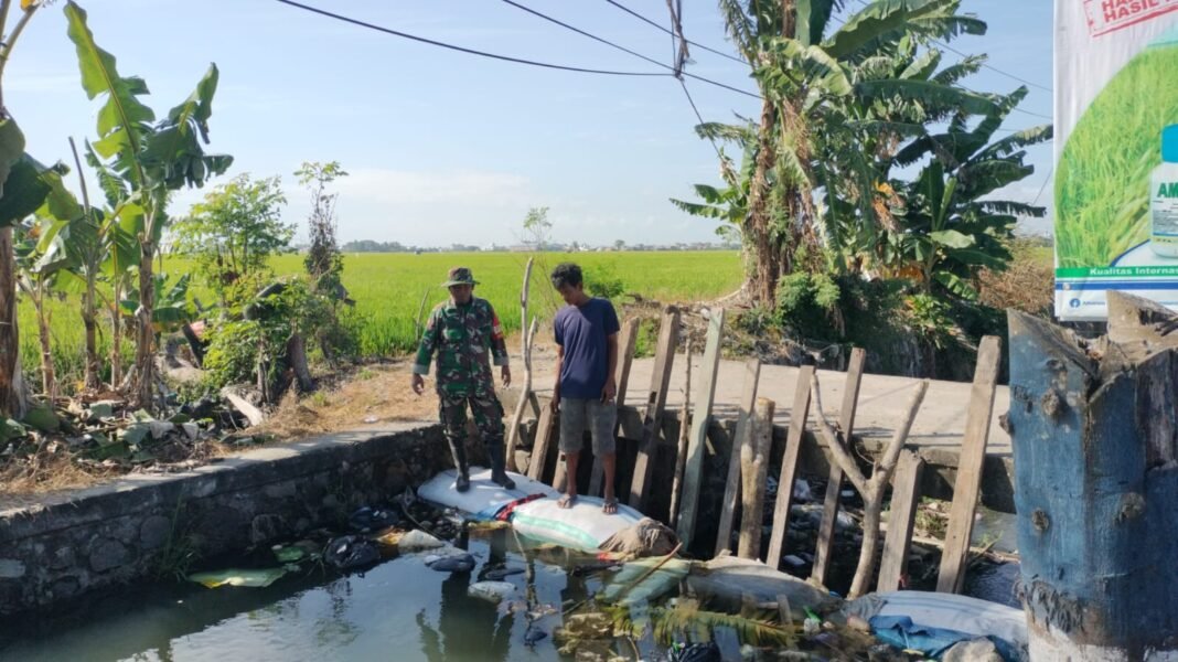 Babinsa Kelurahan Wala Berikan Dukungan pada Petani Selama Musim Kemarau