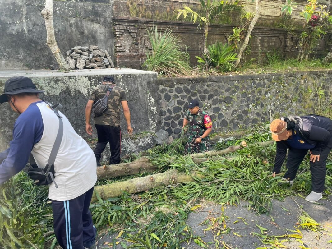 Gotong Royong Babinsa Tohpati: Bersihkan Pohon Perindang Di Jalan Desa