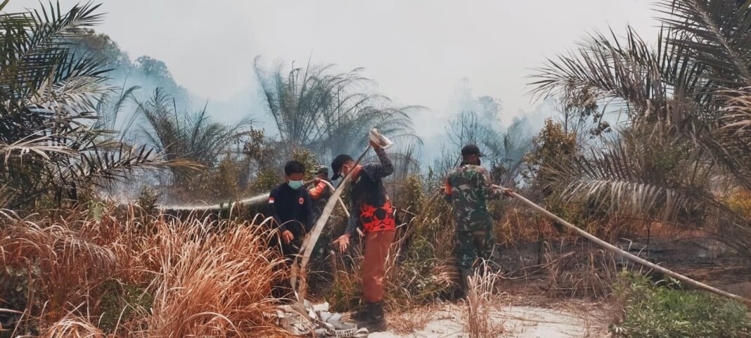 Tanggap Karhutla, Babinsa Koramil 1015-10 Terjun Langsung Padamkan Titik Api di Seruyan