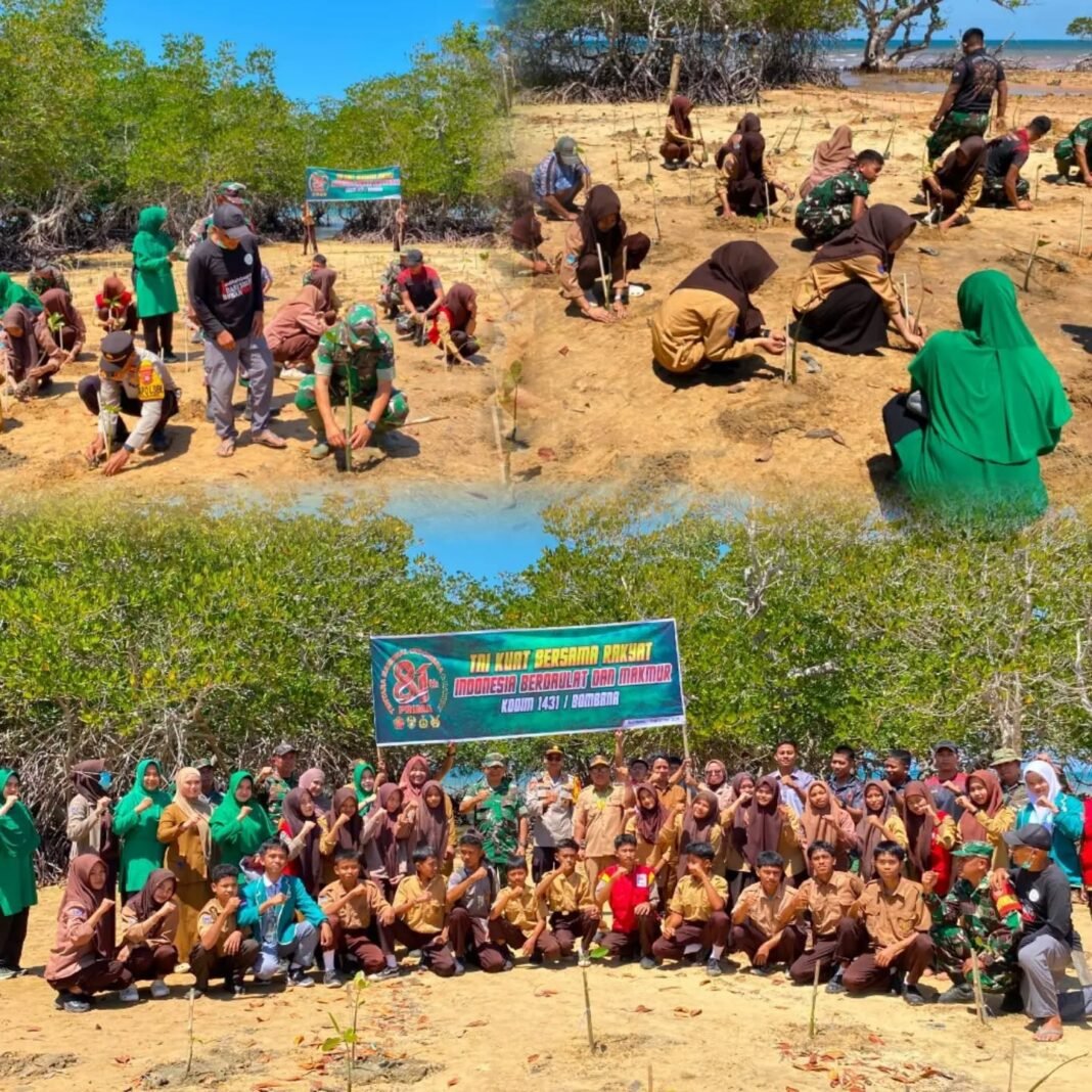 Kodim 1431/Bombana Ajak Masyarakat Tanam Pohon Mangrove