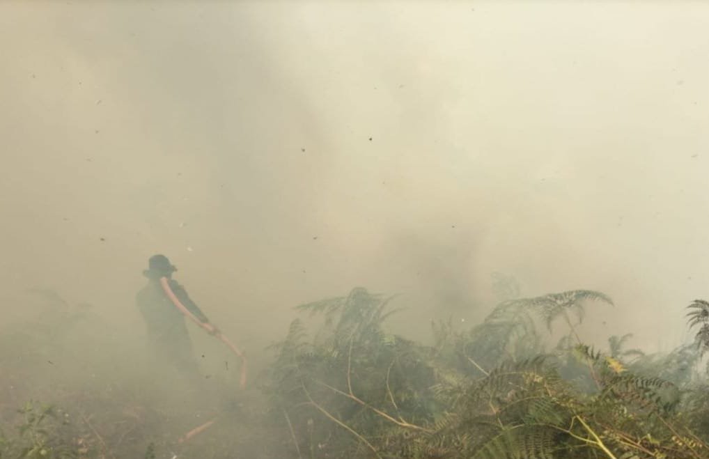 Babinsa dan Tim Terpadu Berjibaku Tanggulangi Titik Api di Sungai Kapitan