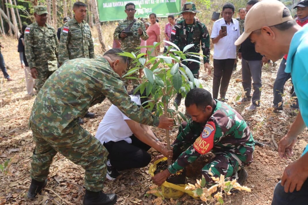 Aksi Hijau HUT TNI ke-81: Kodim 1605/Belu Terapkan Media Tanam Hidrogel di Nenuk