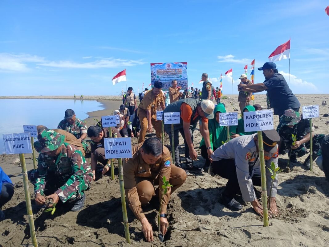 Aksi Penanaman Sejuta Pohon di Pidie Jaya: Upaya TNI Memulihkan Ekosistem dan Ekonomi Warga