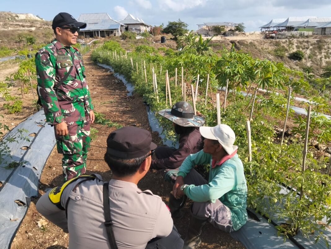 Lakukan Komsos dengan Petani, Babinsa Klungkung Tekankan Larangan Bakar Hutan dan Lahan