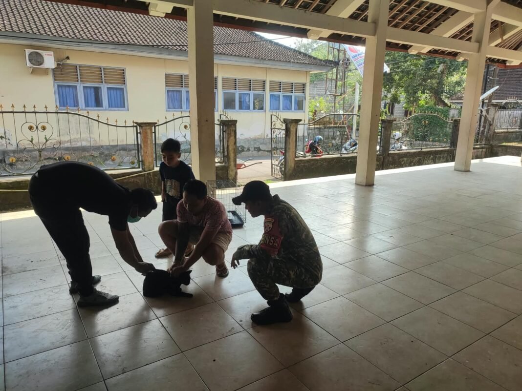 Sinergi Babinsa dan Dinas Peternakan Lindungi Warga Dawan Kaler dari Bahaya Rabies