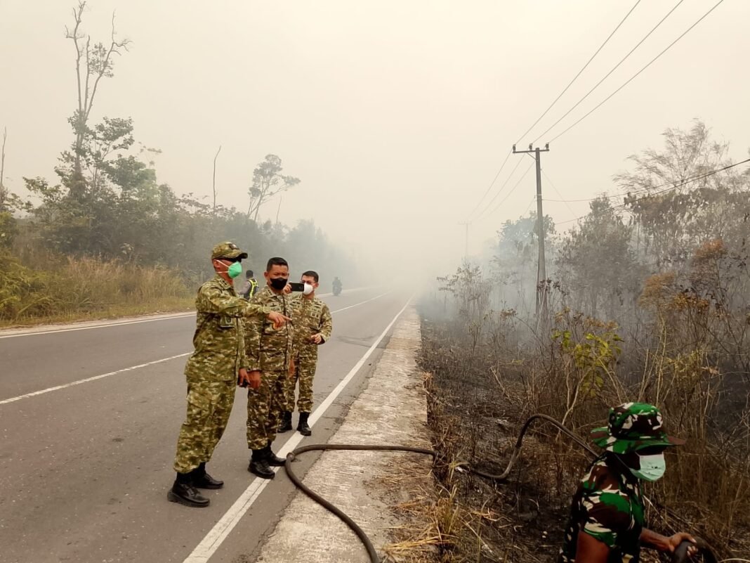 Edukasi Bahaya Karhutla: Kolaborasi Kodim 1018/Gms dengan Tim Sesko TNI