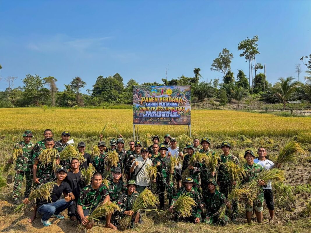 Panen Bersama di Tana Tidung, Sinergi TNI dan Pemerintah Dukung Ketahanan Pangan