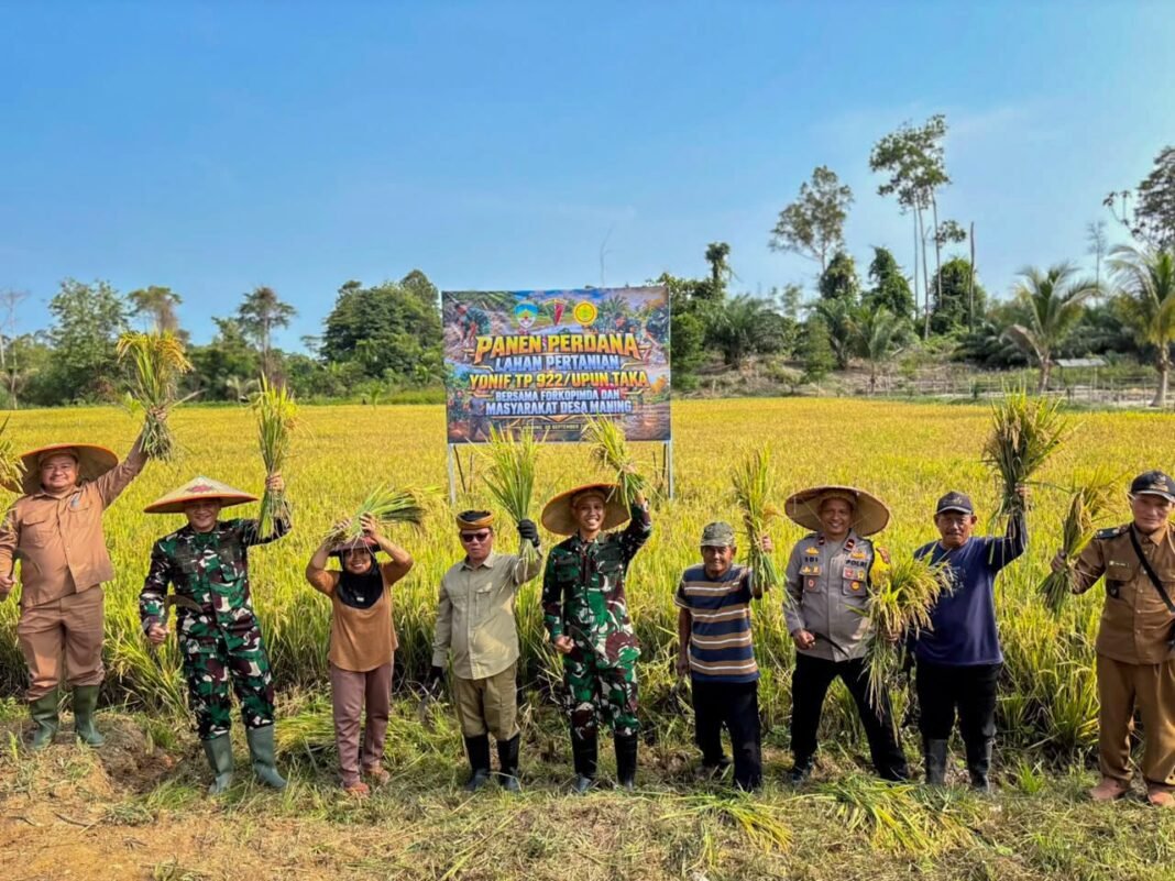 Danyonif TP 922/Upun Taka Hadiri Panen Padi untuk Tingkatkan Kemandirian Pangan