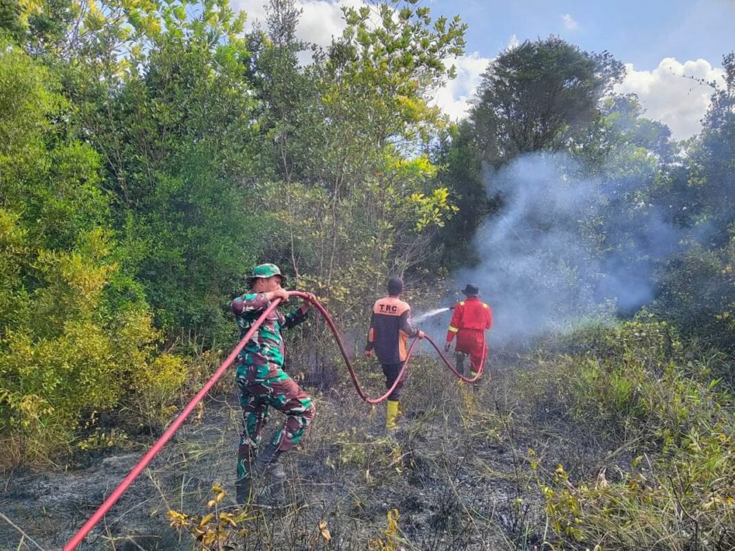 Peltu Hera Tomi Jaya Pimpin Ground Checking Karhutla di Wilayah Sukamara