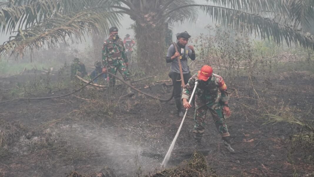 Inspeksi Kebakaran Hutan oleh Dandim 1015/Sampit di Mentaya Seberang