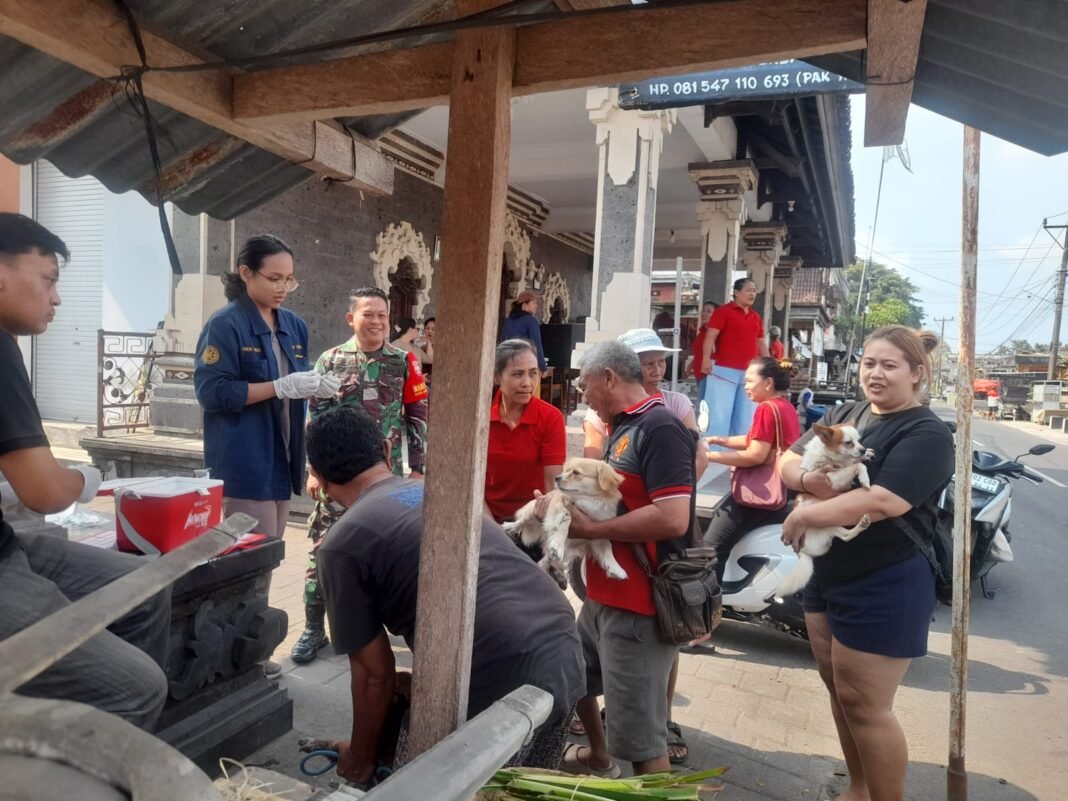 Dukungan TNI dalam Vaksinasi Rabies di Desa Meliling