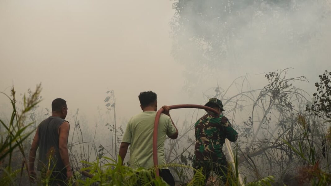 Aksi Bersama Kodim 1015/Sampit dan Posko Karhutla dalam Memadamkan Kebakaran