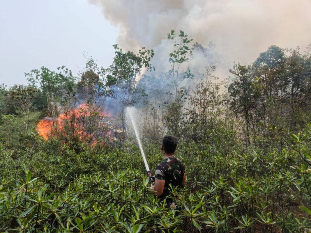 Bersatu Melawan Kebakaran Hutan di Gunung Mas