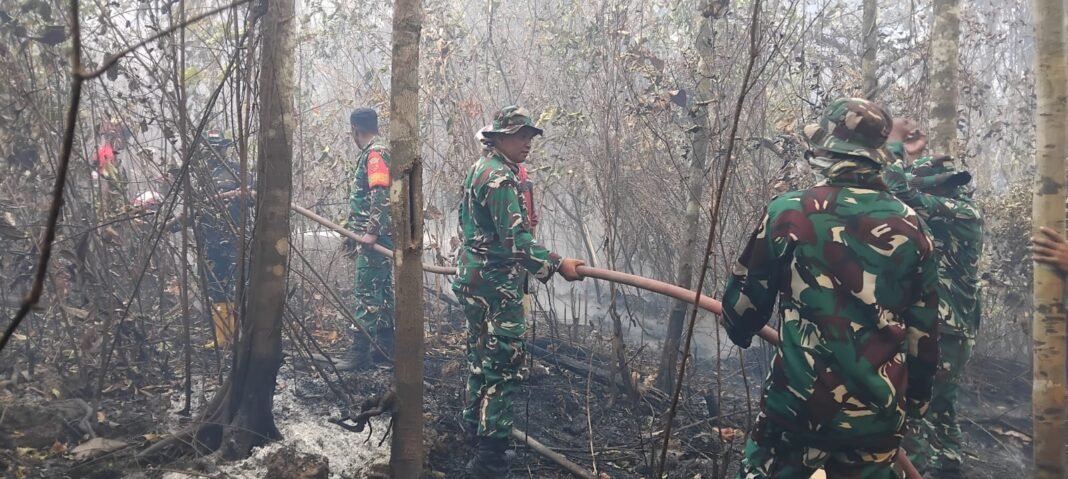 Kerja Sama TNI dan Tim Damkar, Kodim 1512/Weda Hadapi Kebakaran di Desa Lukulamo